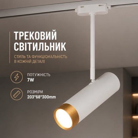 Спот Sirius RN228 WT+GD SP000036639 фото