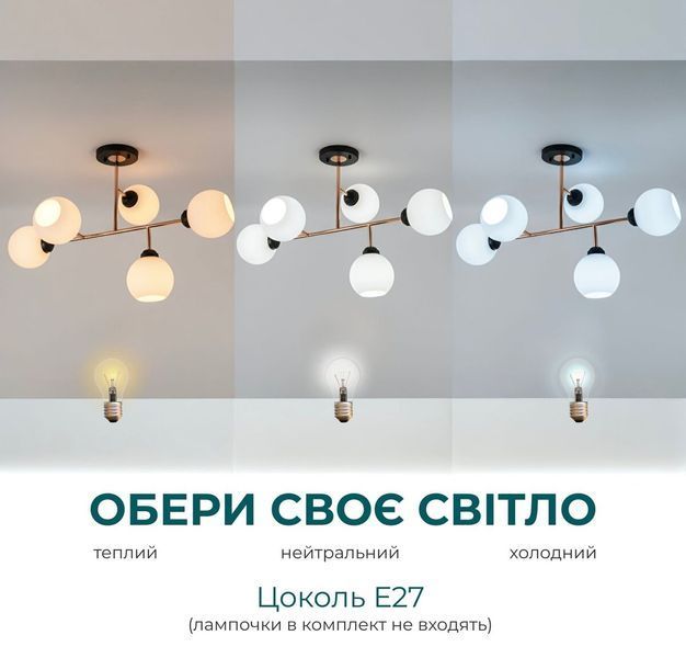 L0006-5 BK+FGD SP000046308 фото