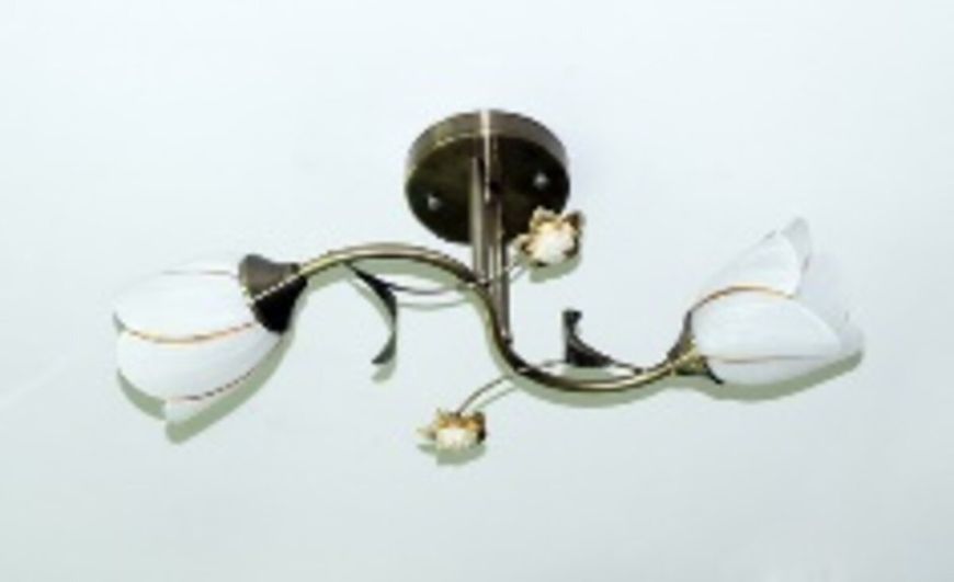 Люстра стельова Sirius B N1508/2 на 2 плафона SP000006404 фото
