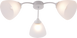 Потолочная люстра VALESO 2045/3 белый SP000052701 фото 1